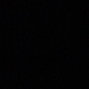 Meet your Posher, Whitney